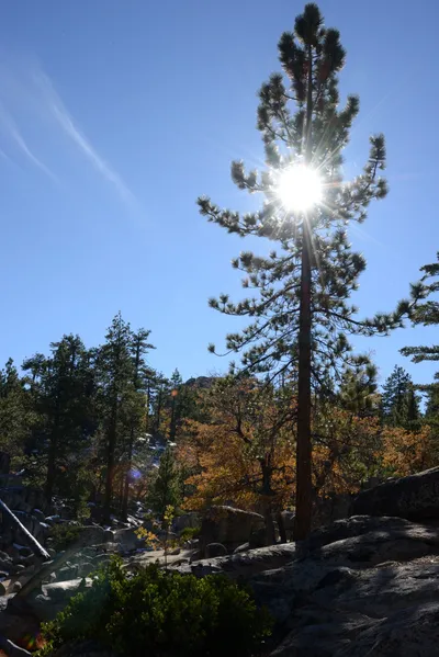 DSC_5110 (Large).JPG